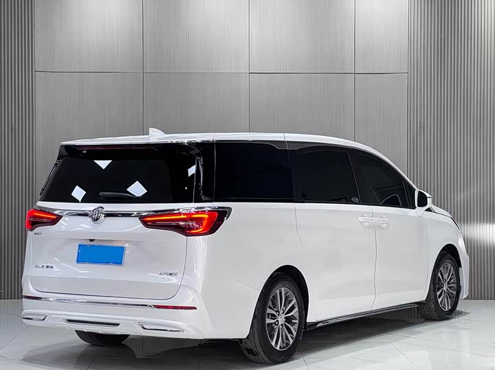 Фото 4 - Buick GL8 ES