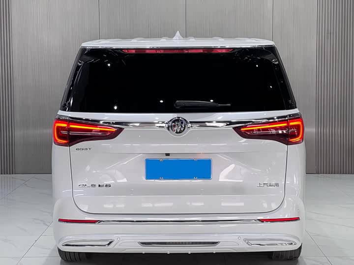 Фото 5 - Buick GL8 ES