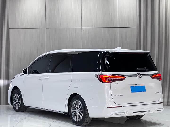 Фото 6 - Buick GL8 ES