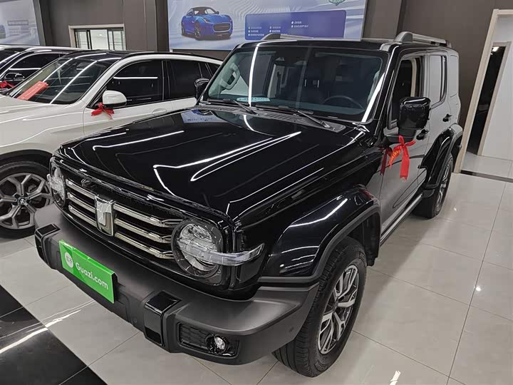 Фото 1 - Tank 300