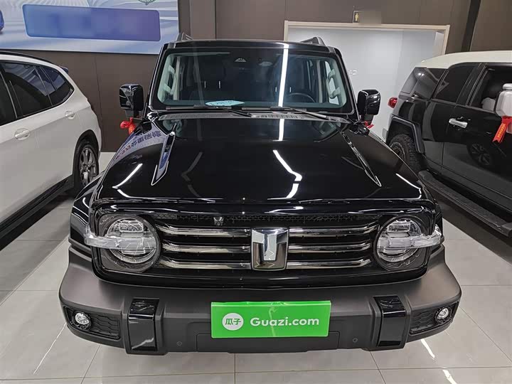 Фото 3 - Tank 300