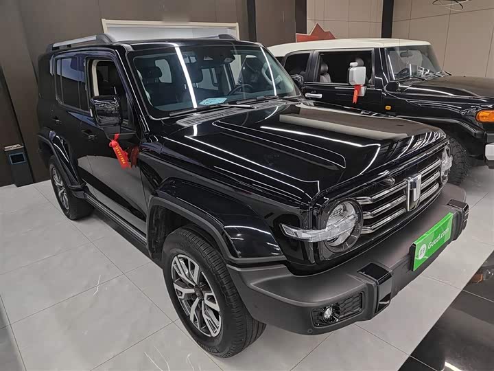 Фото 4 - Tank 300