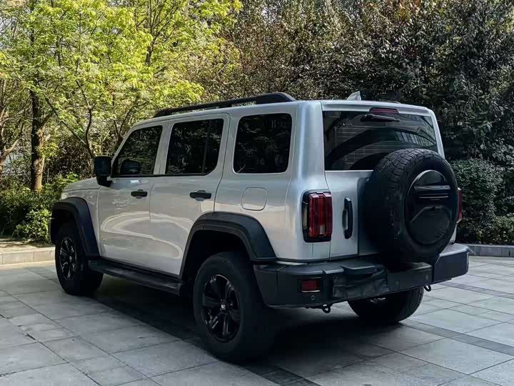 Фото 4 - Tank 300