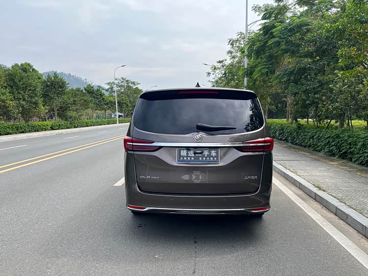 Фото 10 - Buick GL8 ES