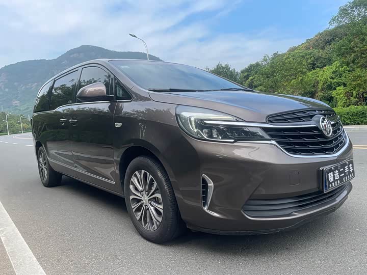 Фото 2 - Buick GL8 ES