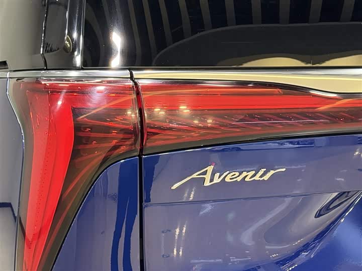 Фото 10 - Buick GL8 Century