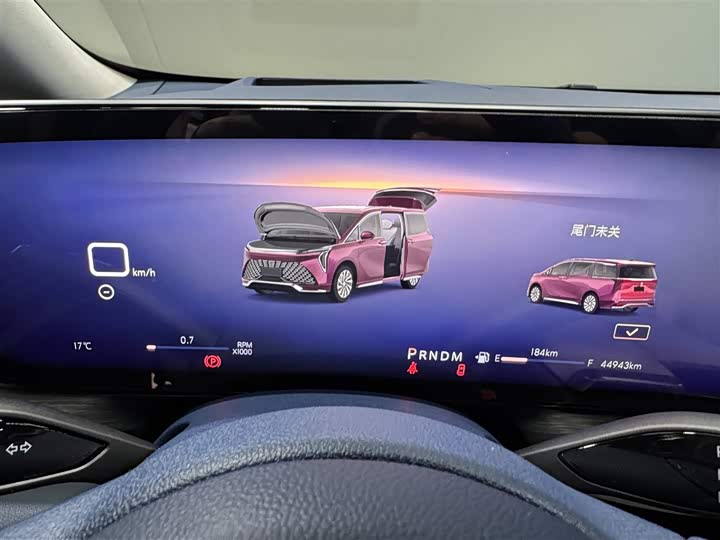 Фото 17 - Buick GL8 Century