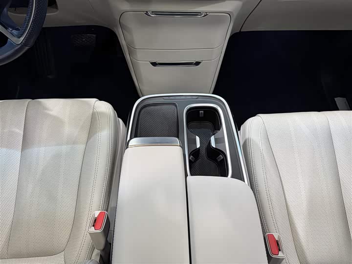 Фото 21 - Buick GL8 Century