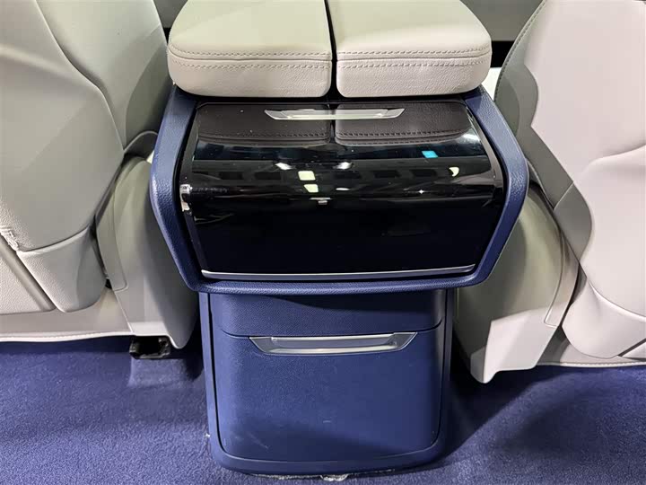 Фото 25 - Buick GL8 Century