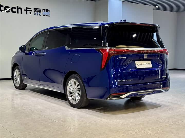 Фото 6 - Buick GL8 Century