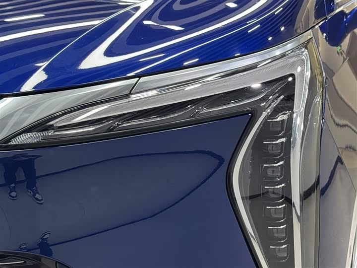 Фото 8 - Buick GL8 Century