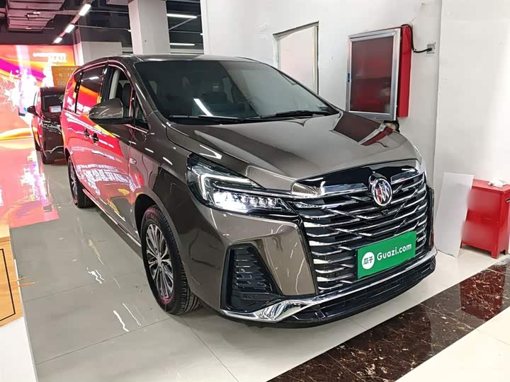 Фото 4 - Buick GL8 ES