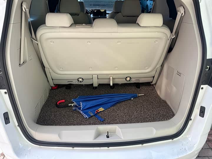 Фото 4 - Buick GL8 ES