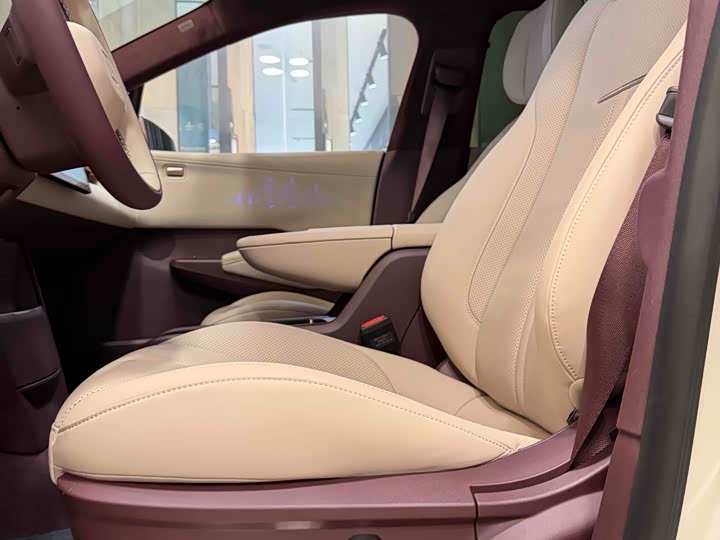 Фото 4 - Zeekr X