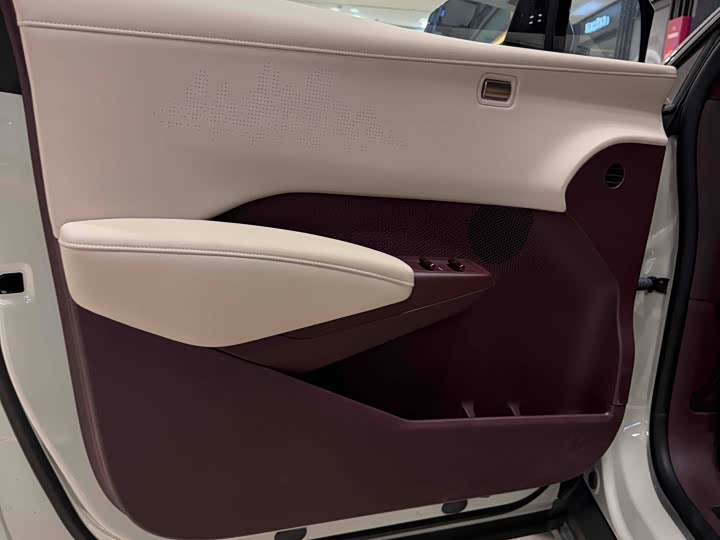 Фото 5 - Zeekr X