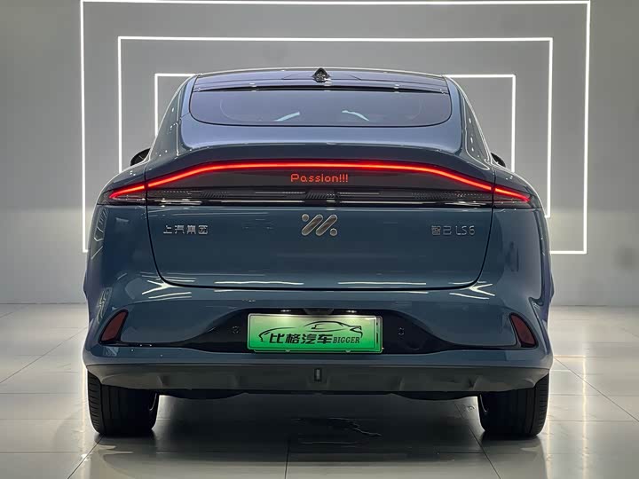 Фото 5 - IM motors LS6