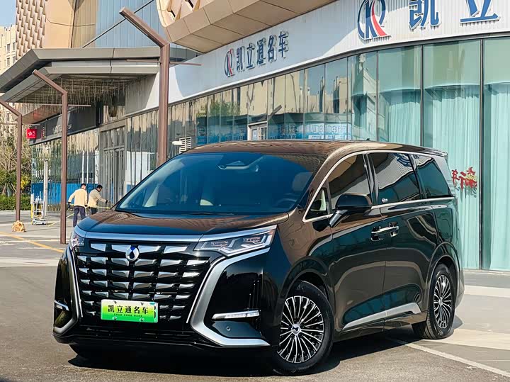 Фото 1 - Denza D9