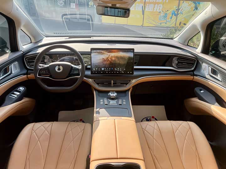 Фото 12 - Denza D9