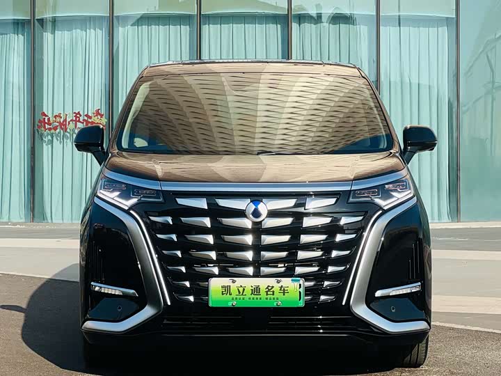 Фото 2 - Denza D9