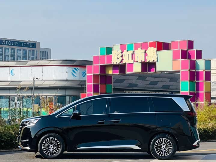 Фото 3 - Denza D9