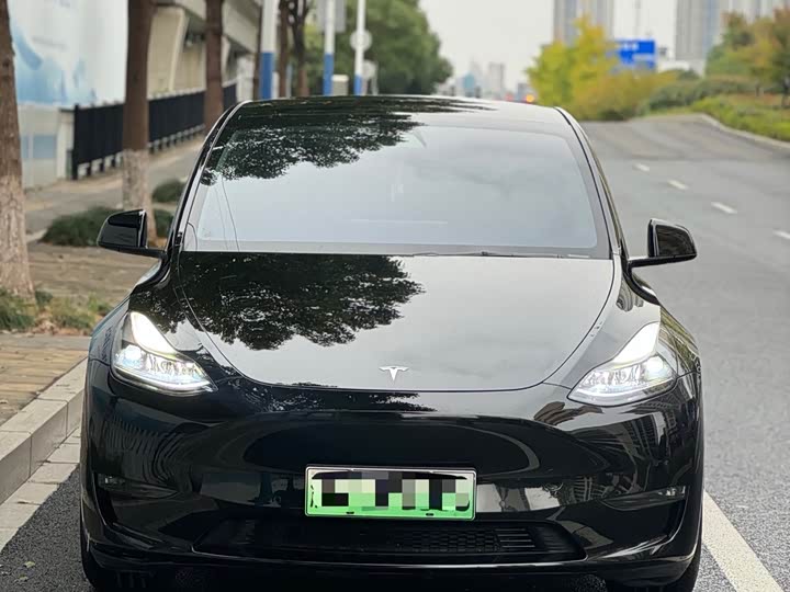 Фото 2 - Tesla Model Y