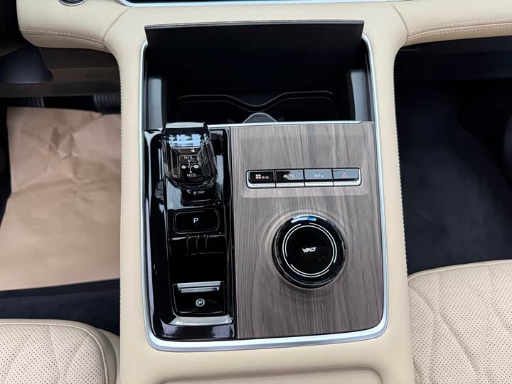 Фото 19 - Geely Monjaro