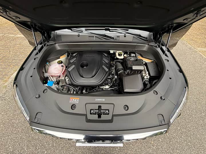 Фото 31 - Geely Monjaro