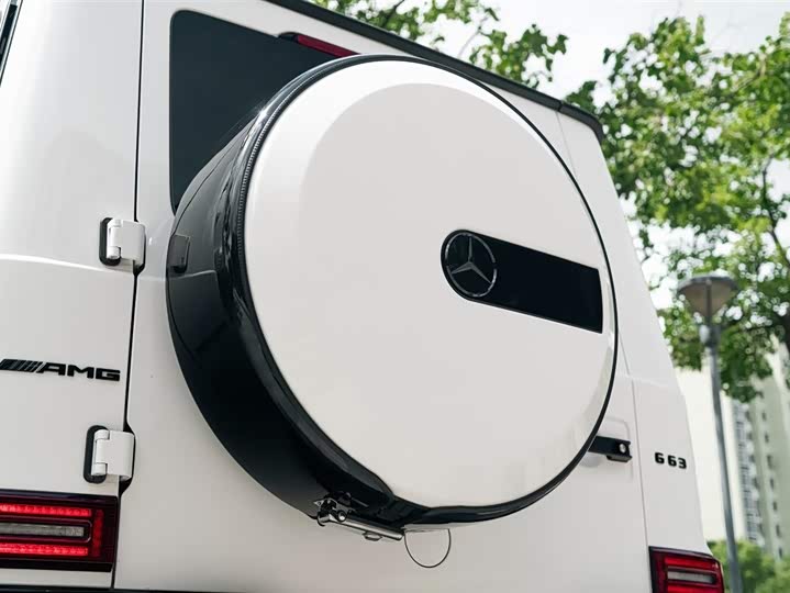 Фото 13 - Mercedes-Benz G-Class AMG