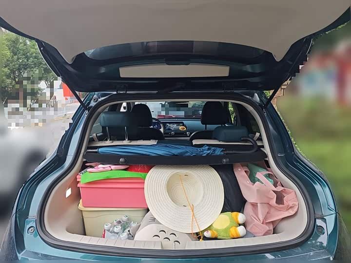 Фото 10 - Ora Good Cat (03)