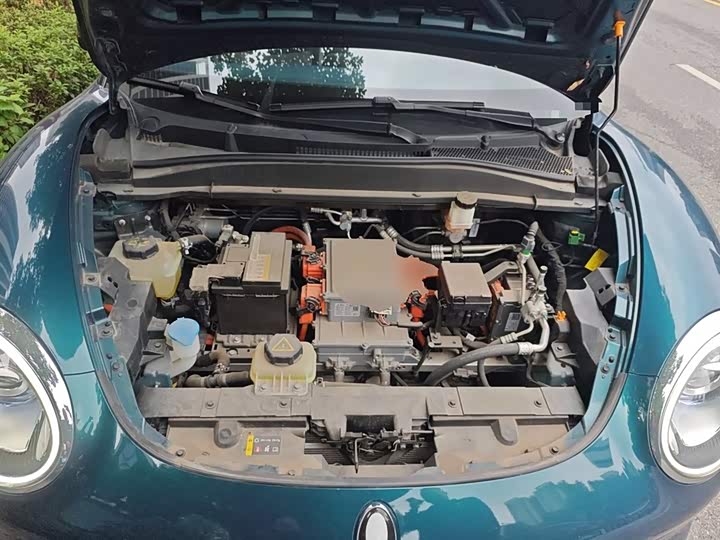 Фото 11 - Ora Good Cat (03)