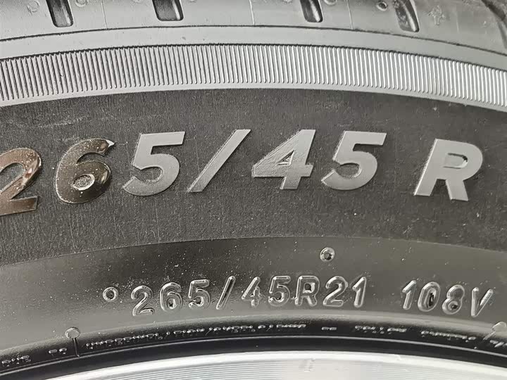 Фото 24 - Exeed Sterra ET