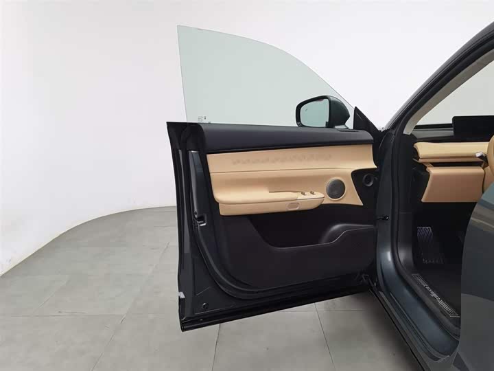 Фото 8 - Exeed Sterra ET