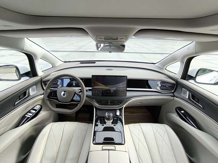 Фото 12 - Denza D9