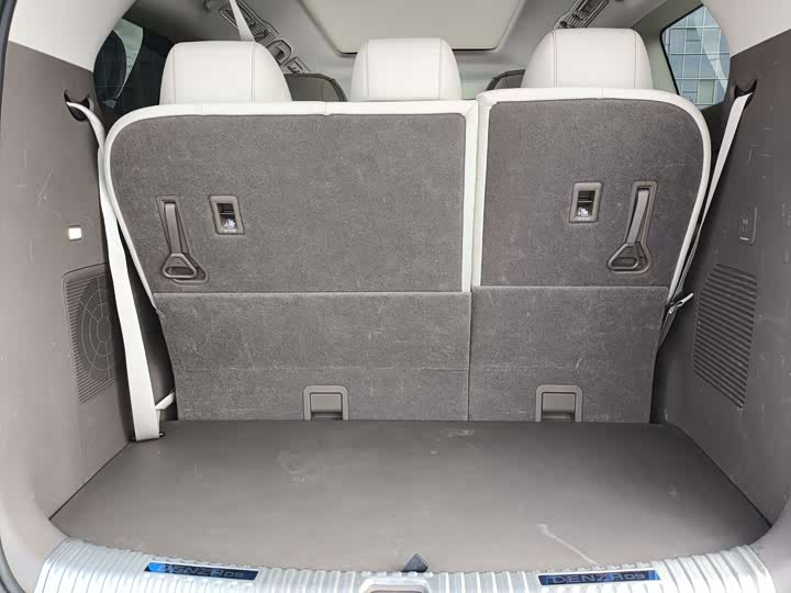 Фото 15 - Denza D9