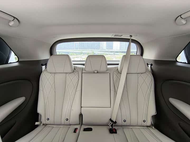 Фото 17 - Denza D9