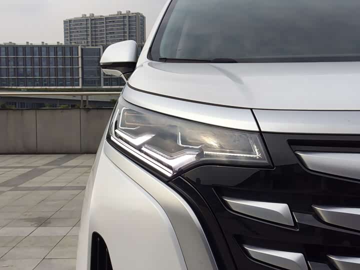 Фото 21 - Denza D9