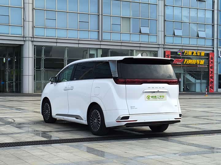 Фото 5 - Denza D9