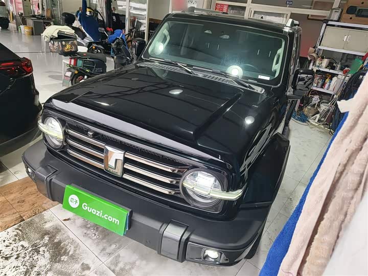 Фото 2 - Tank 300