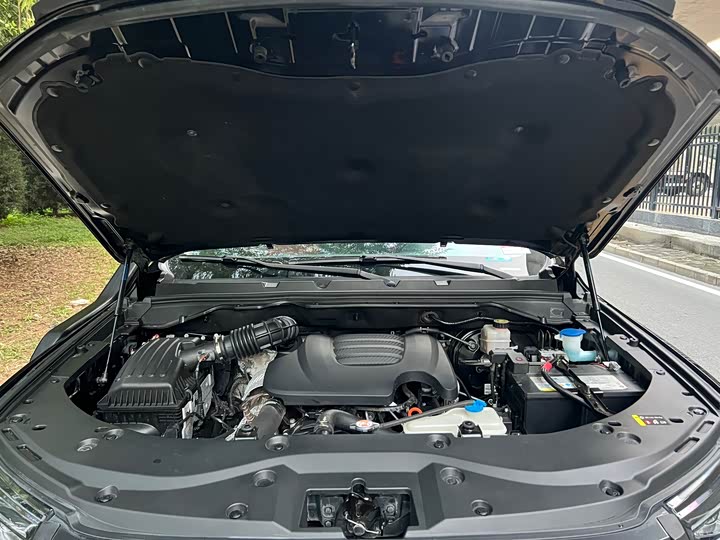 Фото 17 - Great Wall Pao