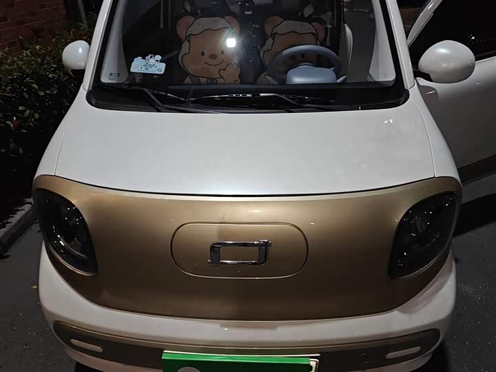 Фото 11 - Bestune Pony