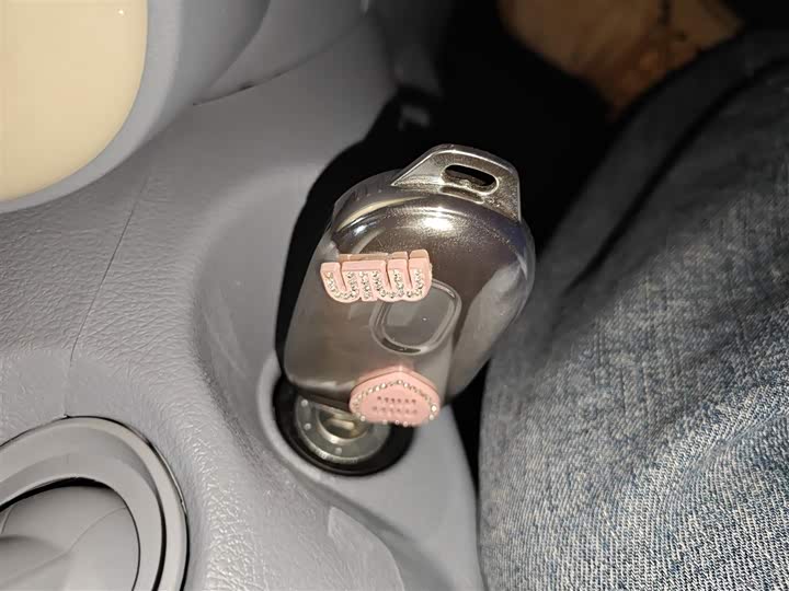 Фото 12 - Bestune Pony