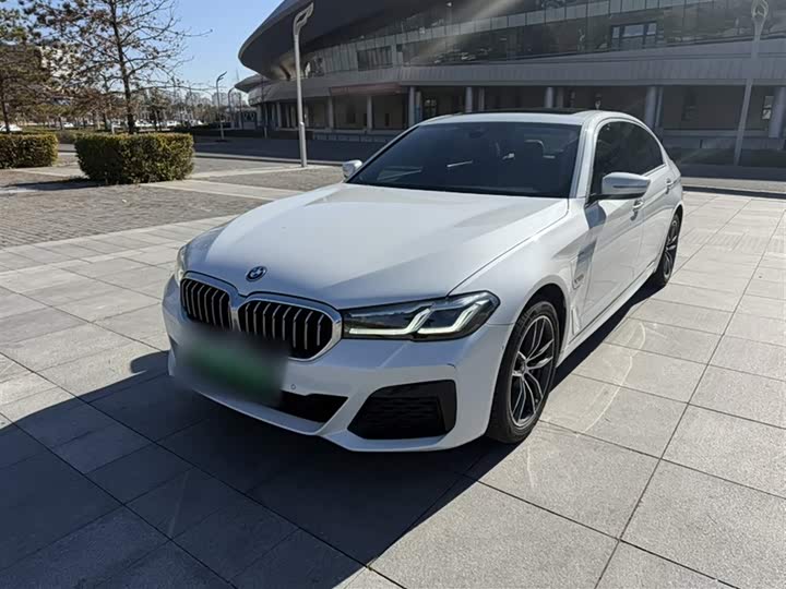 Фото 1 - BMW 5 Series Hybrid