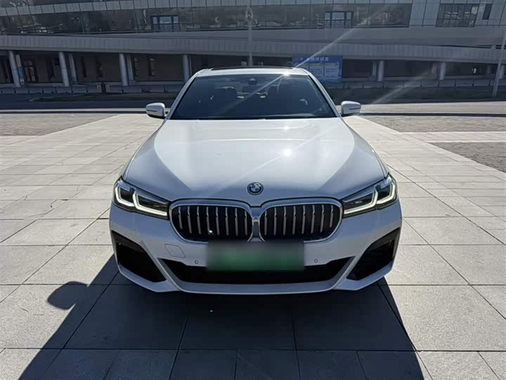 Фото 8 - BMW 5 Series Hybrid