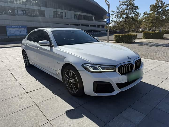 Фото 9 - BMW 5 Series Hybrid