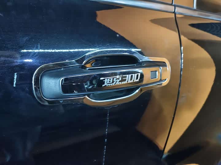 Фото 14 - Tank 300