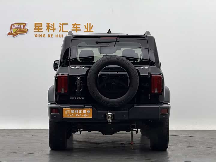 Фото 16 - Tank 300