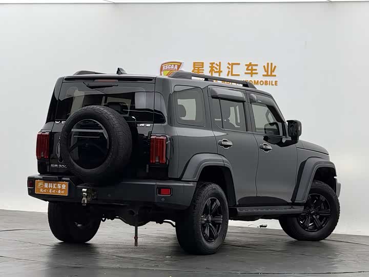 Фото 17 - Tank 300