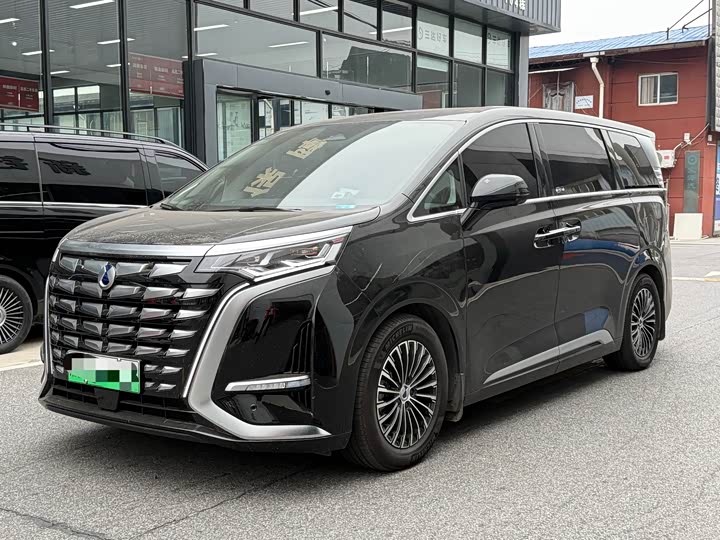 Фото 1 - Denza D9