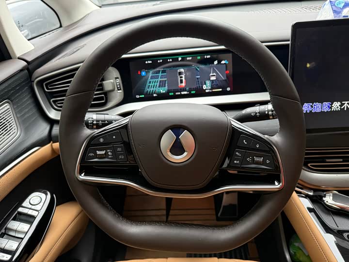 Фото 11 - Denza D9