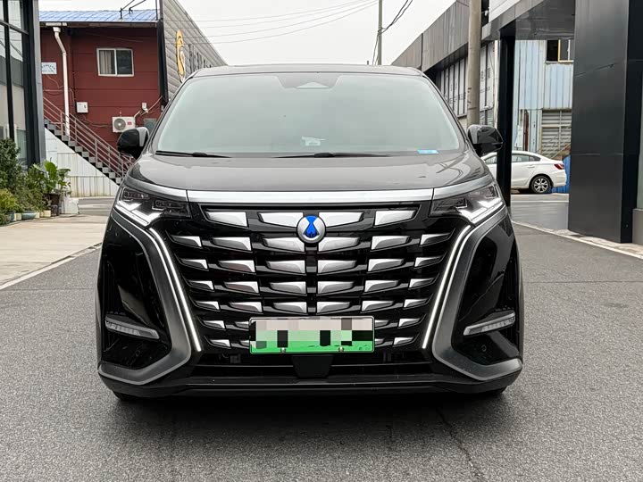 Фото 2 - Denza D9